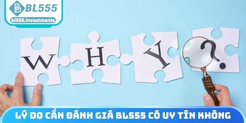 Lý do cần đánh giá BL555 có uy tín không